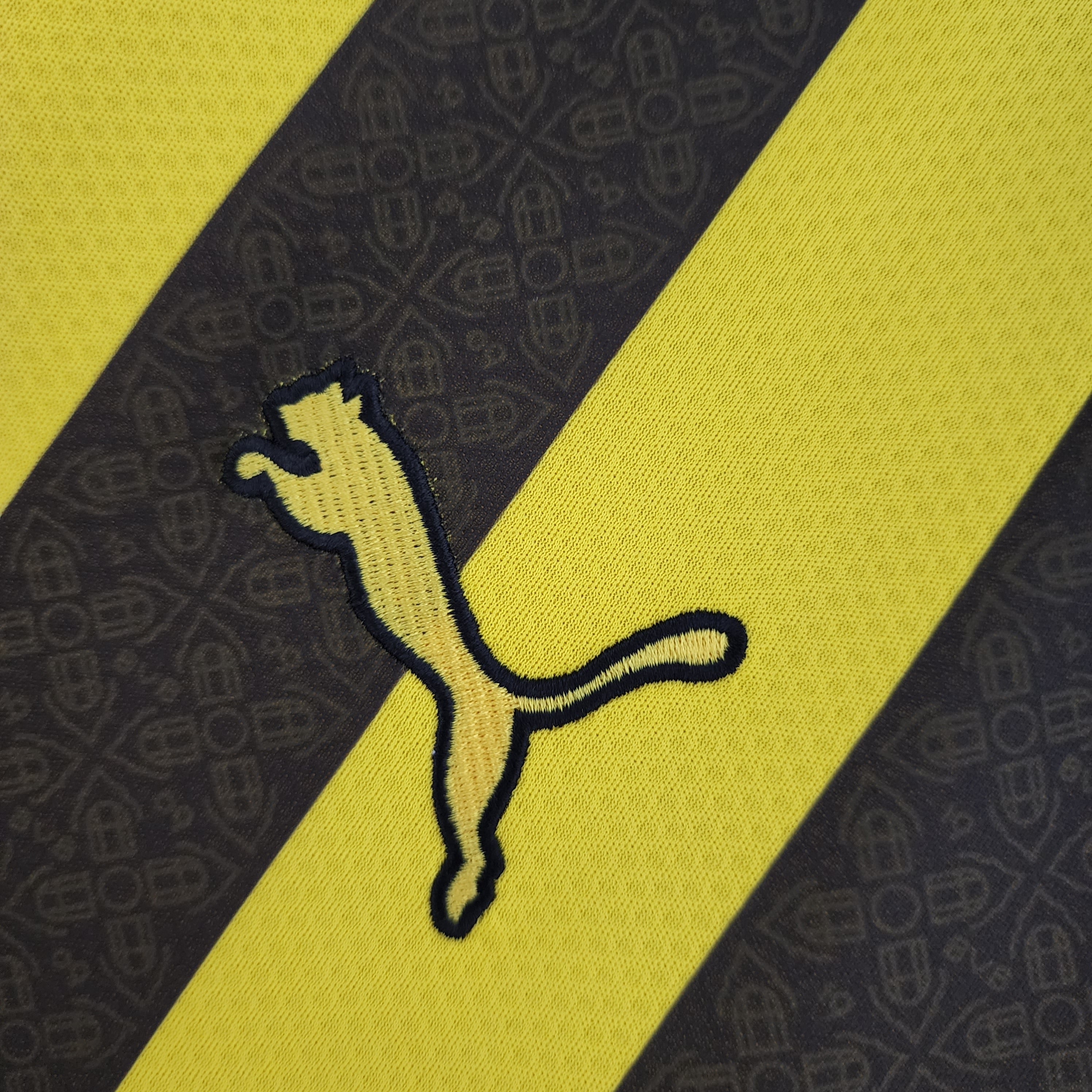 Borussia Dortmund 22-23 | Home