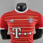 Bayern Munich 22-23 | Home | Player Version